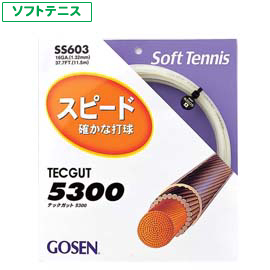 テックガット 5300
