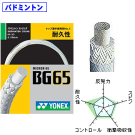 ミクロン65